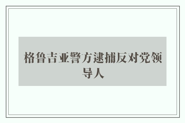 格鲁吉亚警方逮捕反对党领导人